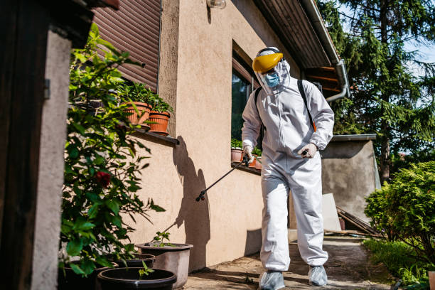 Professional Pest Control in Kachina Village, AZ