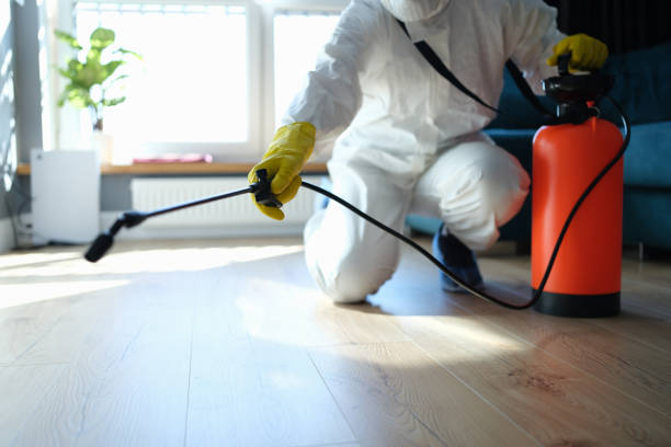 Best Flea Control Services  in Kachina Village, AZ