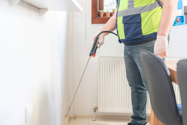 Best Pest Control Near Me  in Kachina Village, AZ